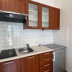 Rent 1 bedroom apartment of 25 m² in Poznan