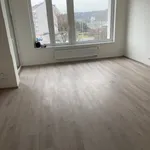 Rent 2 bedroom apartment in  Holešovice                        					