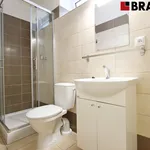 Rent 1 bedroom apartment of 19 m² in Brno