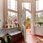 Rent 3 bedroom apartment of 200 m² in berlin