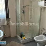 Rent 3 bedroom apartment of 70 m² in Florence