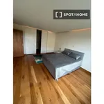 Mount Merrion Ave, Dublin - Amsterdam Apartments for Rent