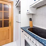 Rent 1 bedroom apartment of 45 m² in madrid