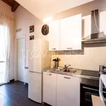 Rent 1 bedroom apartment of 40 m² in Milano