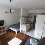 Rent 1 bedroom apartment of 35 m² in Brno