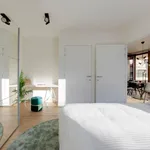 Rent 1 bedroom apartment in Antwerpen