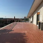 Rent 3 bedroom apartment of 133 m² in Caltanissetta