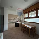 Rent 6 bedroom apartment of 85 m² in Ferrara