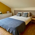  appartement avec 1 chambre(s) en location à Hasselt