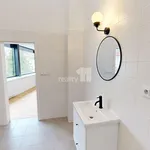 Rent 2 bedroom apartment of 151 m² in Pelhřimov