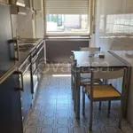 Rent 3 bedroom apartment of 72 m² in Milano