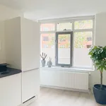 Huur 3 slaapkamer appartement van 114 m² in The Hague