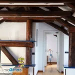 Rent 2 bedroom apartment of 100 m² in Turin