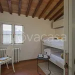 Rent 2 bedroom apartment of 50 m² in Firenze