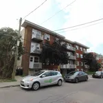 Rent 1 bedroom apartment in Montreal