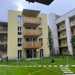 Rent 3 bedroom apartment of 54 m² in Graz