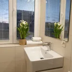 Rent 1 bedroom apartment of 30 m² in Vienna