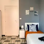 Rent a room in turin