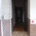 Rent 1 bedroom apartment in Port Elizabeth