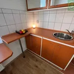 Rent 1 bedroom apartment of 19 m² in Pardubice