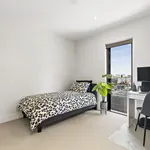 Rent 2 bedroom apartment in Melbourne