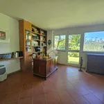 Rent 1 bedroom house of 180 m² in Latina