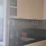 Rent 2 bedroom apartment of 50 m² in Anzio