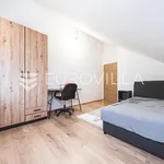 Rent 2 bedroom apartment of 110 m² in Zagreb