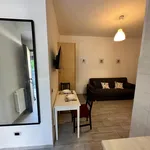 Rent 1 bedroom apartment in Rome