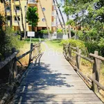 Rent 3 bedroom apartment of 64 m² in Cavallino-Treporti