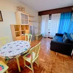 Rent 1 bedroom apartment of 55 m² in Bilbao