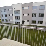 Rent 2 bedroom apartment of 48 m² in Prague