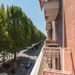 Rent 2 bedroom apartment in Turin