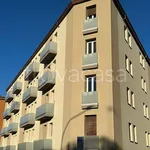 Rent 3 bedroom apartment of 80 m² in Bologna