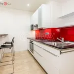 Rent 1 bedroom apartment in Praha