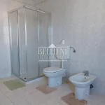 Rent 4 bedroom apartment of 130 m² in Vicenza