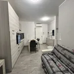 Rent 2 bedroom apartment of 50 m² in Nettuno