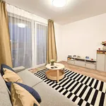 Rent 2 bedroom apartment of 55 m² in budapest