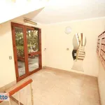 Rent 4 bedroom apartment of 115 m² in Palermo