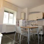 Rent 2 bedroom apartment of 50 m² in Genova