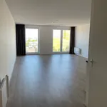 Huur 1 slaapkamer appartement van 49 m² in Leiden