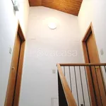 Rent 1 bedroom apartment of 29 m² in Padova