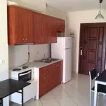 Rent 1 bedroom apartment of 50 m² in Municipal Unit of Tripoli