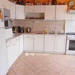 Rent 1 bedroom house of 25 m² in Debrecen