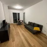 Rent 1 bedroom apartment of 65 m² in Milano