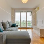 Rent 1 bedroom apartment of 55 m² in City of Zagreb