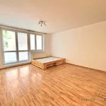 Rent 1 bedroom apartment of 36 m² in Brno