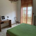 Rent 2 bedroom apartment of 60 m² in Lecce