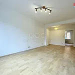 Rent 3 bedroom apartment of 70 m² in Sokolov