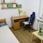 Rent a room in Lodz